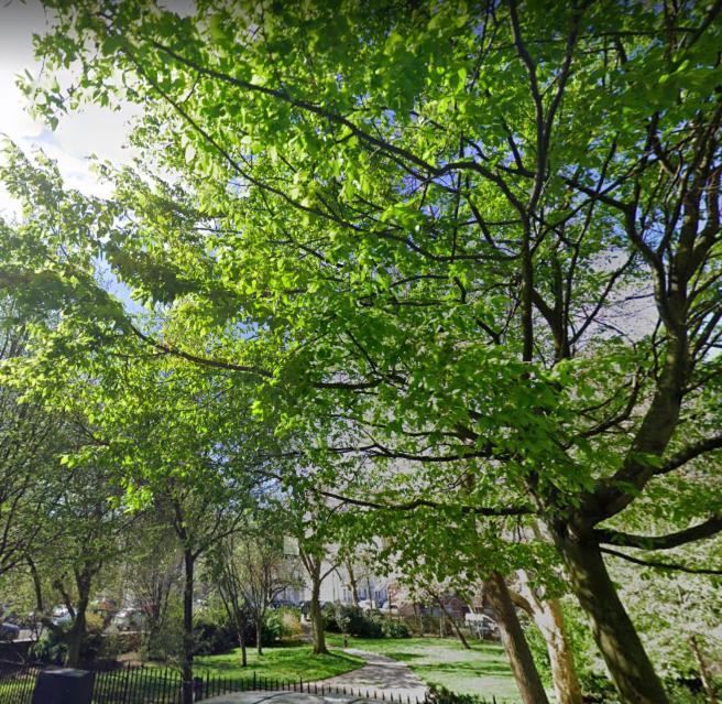 Notting Hill Light & Airy Londres